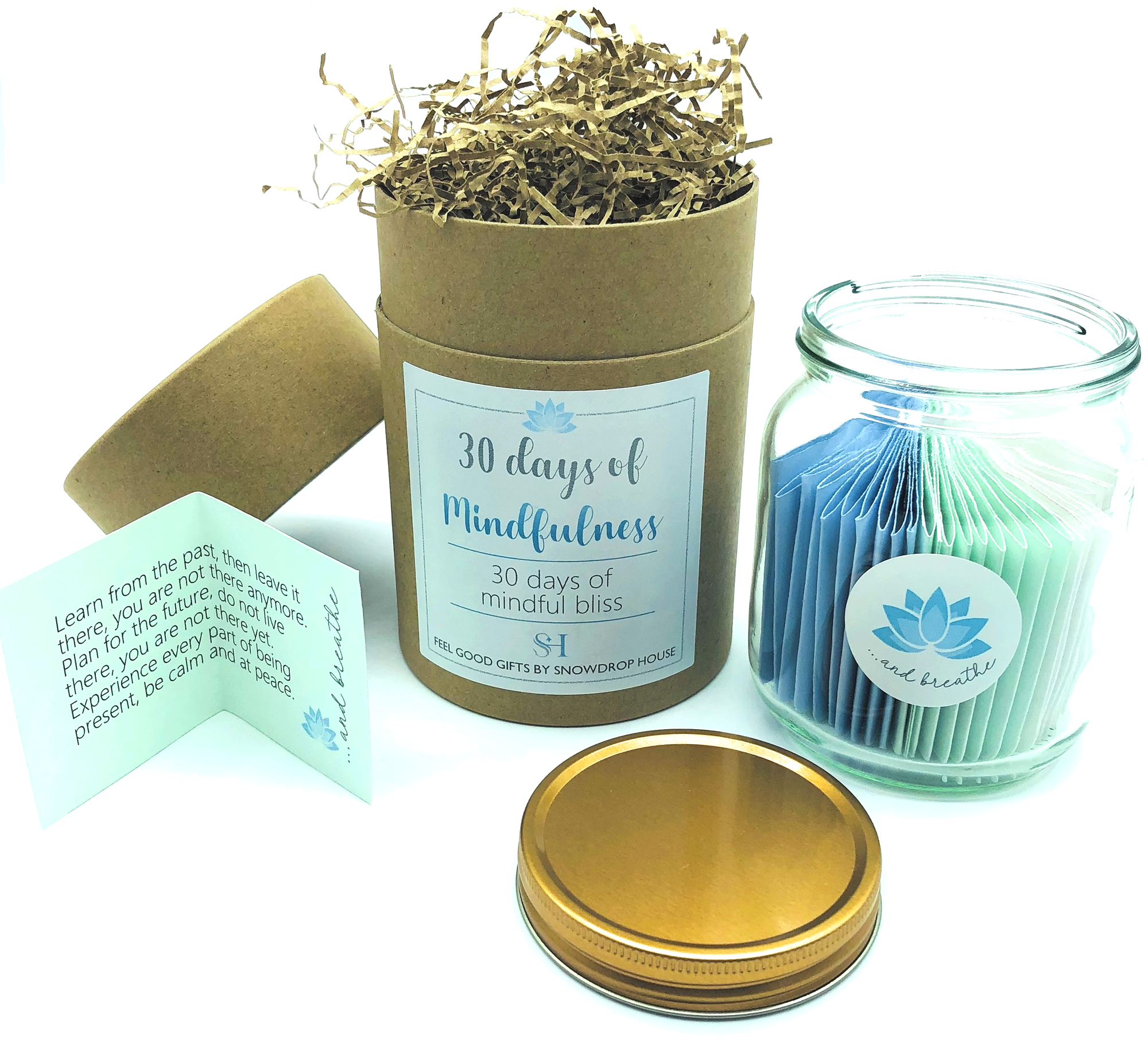 Shower Steamer Gift Set | Wellbeing Gifts | Bloom In Soap